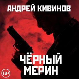 Слушать аудиокнигу онлайн «Черный мерин – Андрей Кивинов»