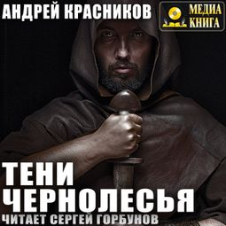 Слушать аудиокнигу онлайн «Тени Чернолесья – Андрей Красников»