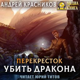 Слушать аудиокнигу онлайн «Убить дракона – Андрей Красников»