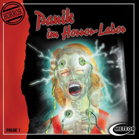 Hörbüch “Meteor Horror, Folge 1: Panik im Horror-Labor – Sascha Gutzeit, Nikolaus Hartmann”