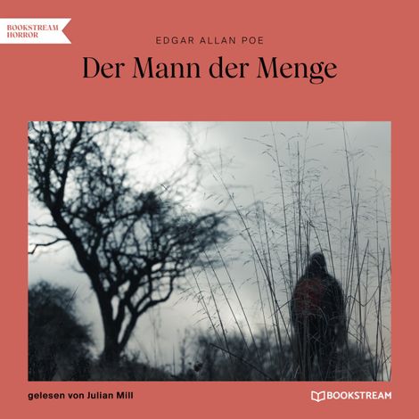 Hörbüch “Der Mann der Menge (Ungekürzt) – Edgar Allan Poe”