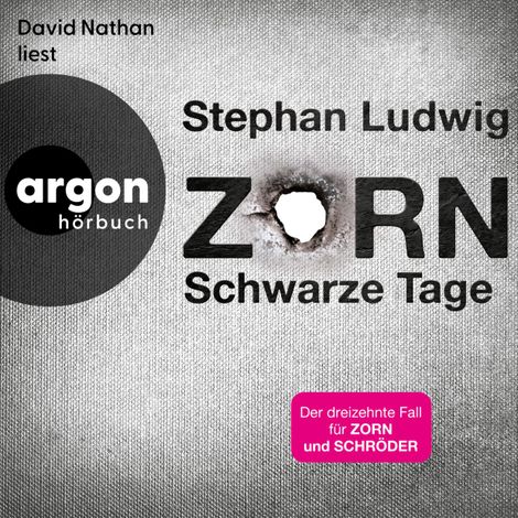 Hörbüch “Schwarze Tage - Zorn, Band 13 (Ungekürzte Lesung) – Stephan Ludwig”