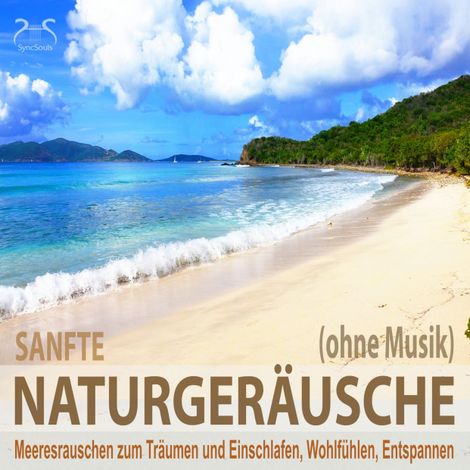 Hörbüch “Sanfte Naturgeräusche (ohne Musik) - Meeresrauschen zum Träumen und Einschlafen, Wohlfühlen, Entspannen - Wellenrauschen pur, sanfte Naturgeräusche pur – Franziska Diesmann, Torsten Abrolat”