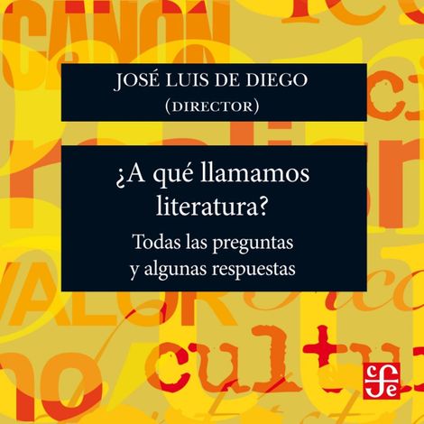 Hörbüch “¿A qué llamamos literatura? - Todas las preguntas y algunas respuestas – José Luis De Diego”