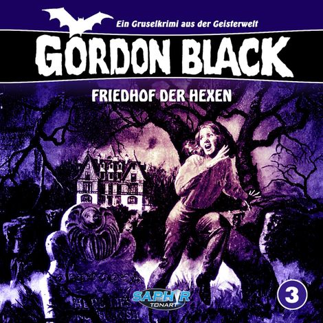 Hörbüch “Gordon Black - Ein Gruselkrimi aus der Geisterwelt, Folge 3: Friedhof der Hexen – Horst Weymar Hübner”