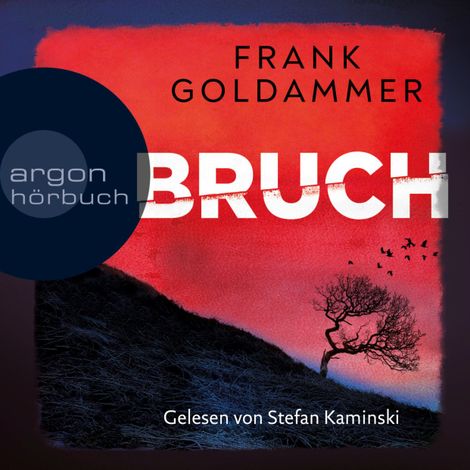 Hörbüch “Bruch - Ein dunkler Ort - Felix Bruch, Band 1 (Gekürzt) – Frank Goldammer”