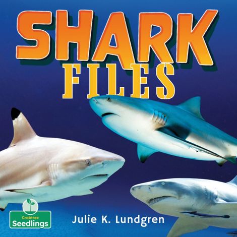 Hörbüch “Shark Files Bind-Up (Unabridged) – Julie K. Lundgren”