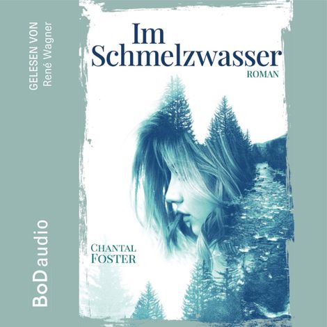 Hörbüch “Im Schmelzwasser (Ungekürzt) – Chantal Foster”
