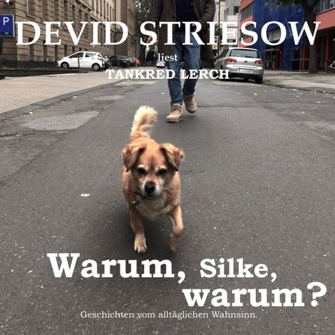 Hörbüch “Warum, Silke, warum? - Geschichten vom alltäglichen Wahnsinn (ungekürzte Lesung) – Tankred Lerch”