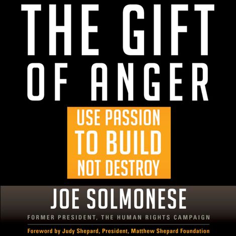 Hörbüch “The Gift of Anger - Use Passion to Build Not Destroy (Unabridged) – Joe Solmonese”