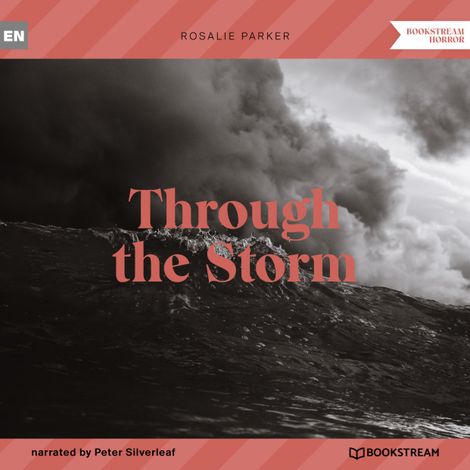 Hörbüch “Through the Storm (Unabridged) – Rosalie Parker”