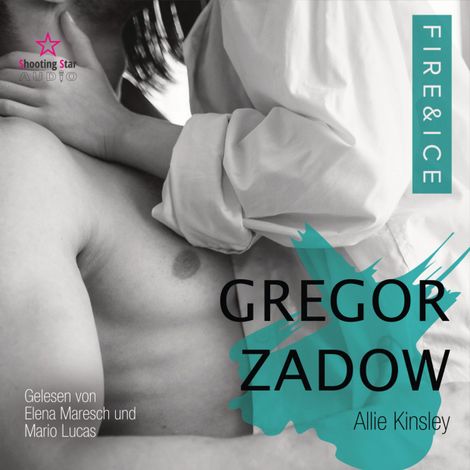Hörbüch “Gregor Zadow - Band 6.5 - Fire&Ice (ungekürzt) – Allie Kinsley”