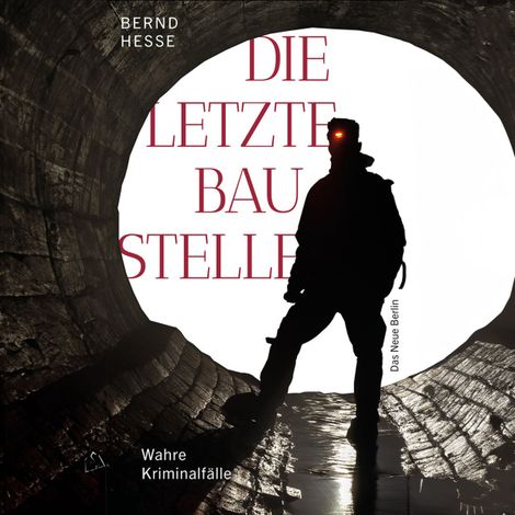 Hörbüch “Die letzte Baustelle - Authentische Kriminalfälle, Band 3 (ungekürzt) – Bernd Hesse”