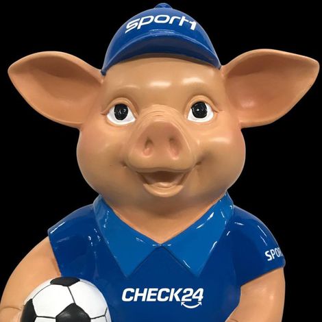 Hörbüch “Der SPORT1 Doppelpass, Der SPORT1 Doppelpass Best of Saison 18/19 – Plaza Media GmbH”