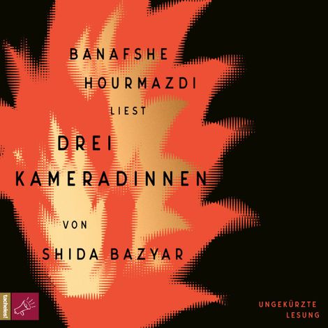 Hörbüch “Drei Kameradinnen (Ungekürzte Lesung) – Shida Bazyar”