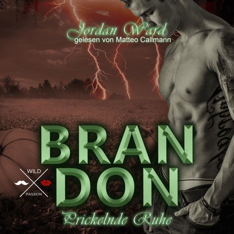 Hörbüch “Brandon - Secret Desire - Prickelnde Ruhe, Band 3 (ungekürzt) – Jordan Ward”