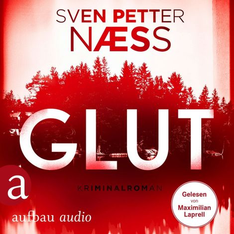 Hörbüch “Glut - Team Oslo ermittelt, Band 1 (Gekürzt) – Sven Petter Naess”