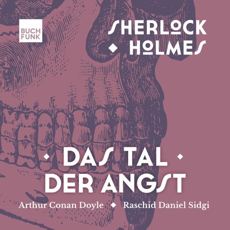 Hörbüch “Das Tal der Angst - Sherlock Holmes - Die Romane, Band 4 (ungekürzt) – Arthur Conan Doyle”