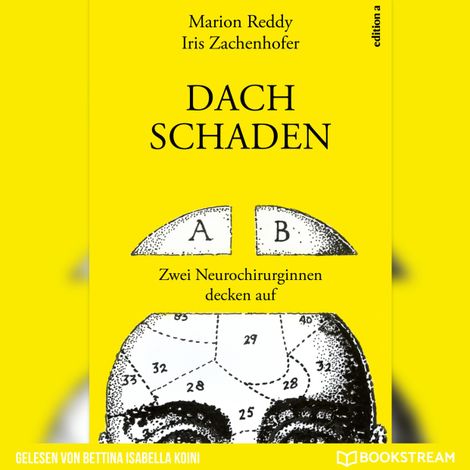 Hörbüch “Dachschaden - Zwei Neurochirurginnen decken auf (Ungekürzt) – Marion Reddy, Iris Zachenhofer”
