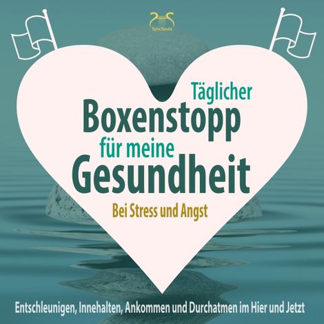Hörbüch “Täglicher Boxenstopp für meine Gesundheit! Entschleunigen, Innehalten, Ankommen und Durchatmen im Hier und Jetzt - Bei Stress und Angst (Ungekürzt) – Franziska Diesmann, Torsten Abrolat”