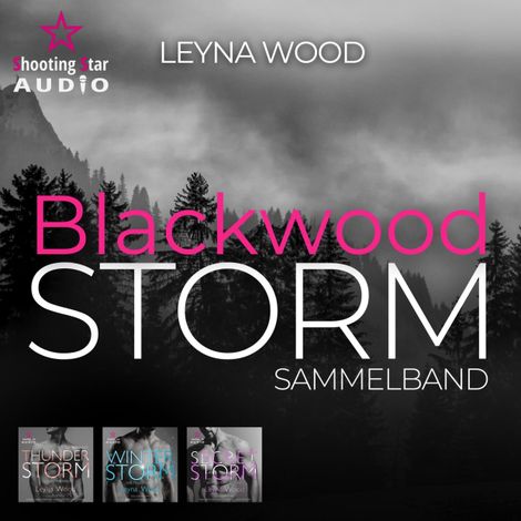 Hörbüch “Blackwood Storm - Der Sammelband - Blackwood STORM Trilogie, Band 4 (ungekürzt) – Leyna Wood”