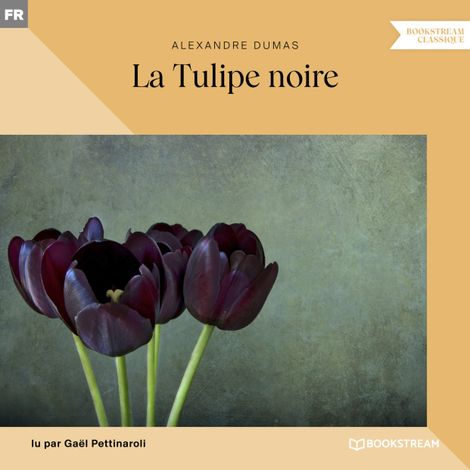 Hörbüch “La Tulipe noire (Version intégrale) – Alexandre Dumas”