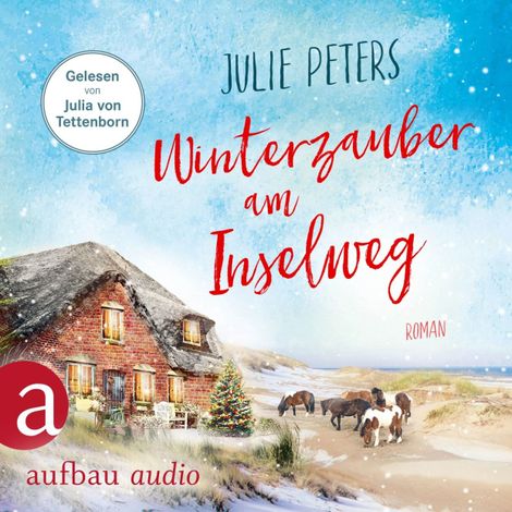 Hörbüch “Winterzauber am Inselweg - Friekes Buchladen, Band 5 (Ungekürzt) – Julie Peters”