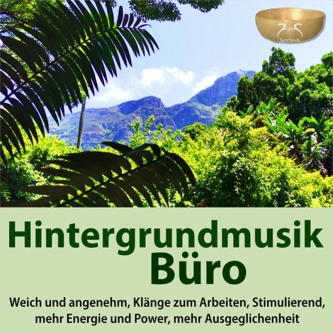 Hörbüch “Hintergrundmusik Büro, weich und angenehm, Klänge zum Arbeiten, Stimulierend, mehr Energie und Power, mehr Ausgeglichenheit – SyncSouls, Torsten Abrolat”