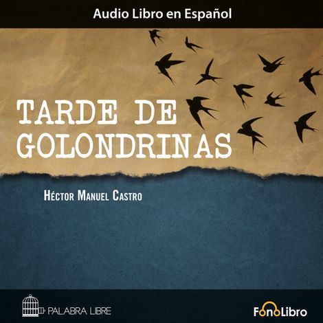 Hörbüch “Tarde de Golondrinas (abreviado) – Hector Manuel Castro”