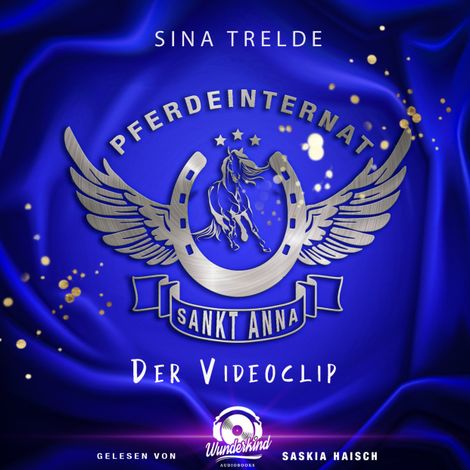 Hörbüch “Der Videoclip - Pferdeinternat Sankt Anna, Band 2 (Ungekürzt) – Sina Trelde”