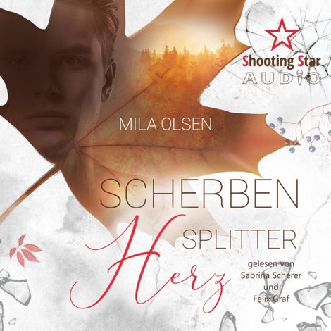 Hörbüch “Scherbensplitterherz (ungekürzt) – Mila Olsen”