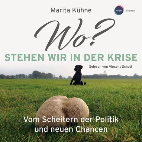 Hörbüch “Wo? Stehen wir in der Kris - Vom Scheitern der Politik und neuen Chancen (ungekürzt) – Marita Kühne”