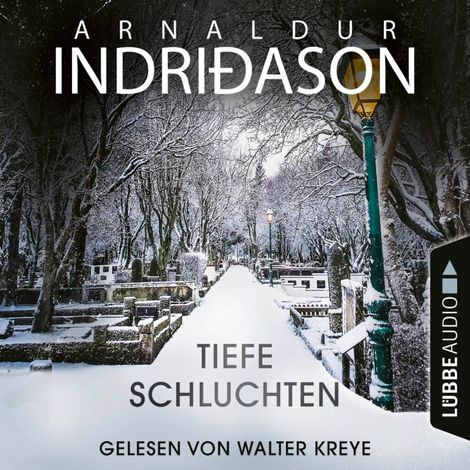 Hörbüch “Tiefe Schluchten (Ungekürzt) – Arnaldur Indriðason”