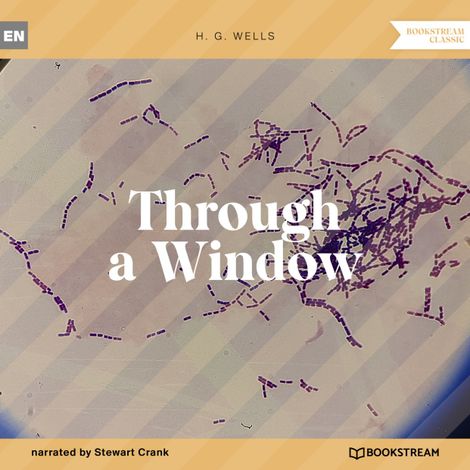 Hörbüch “Through a Window (Unabridged) – H. G. Wells”