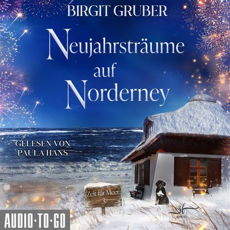 Hörbüch “Neujahrsträume auf Norderney - Zeit für Meer, Band 3 (ungekürzt) – Birgit Gruber”