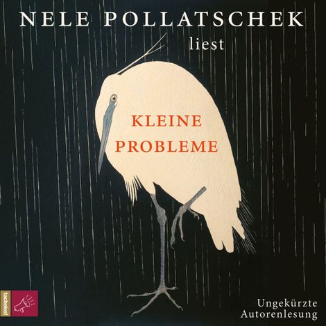 Hörbüch “Kleine Probleme (Ungekürzt) – Nele Pollatschek”