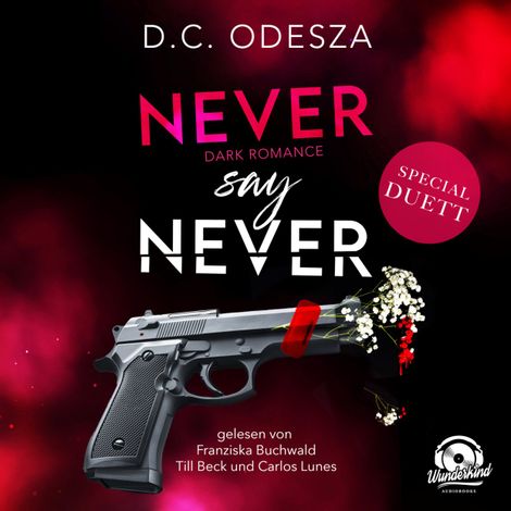 Hörbüch “Never say Never - Never say Never, Band 1 (Ungekürzt) – D. C. Odesza”