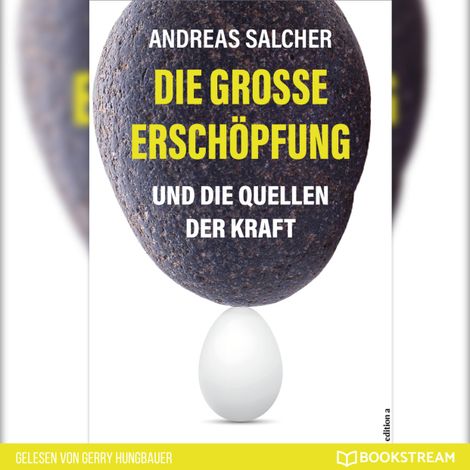 Hörbüch “Die große Erschöpfung - Und die Quellen der Kraft (Ungekürzt) – Andreas Salcher”