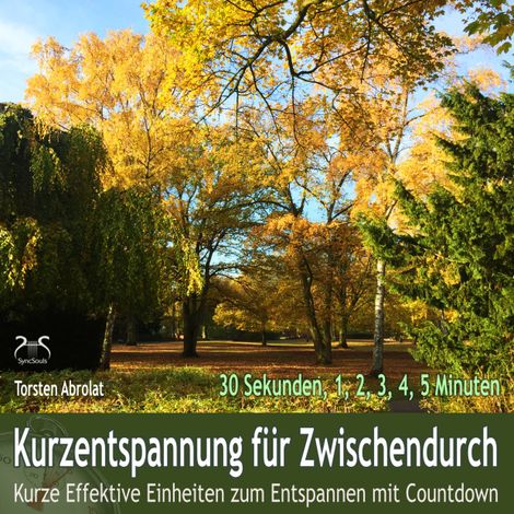 Hörbüch “Kurzentspannung für Zwischendurch - 30 Sekunden, 1 bis 5 Minuten - Kurze Effektive Einheiten zum Entspannen mit Countdown – Torsten Abrolat”