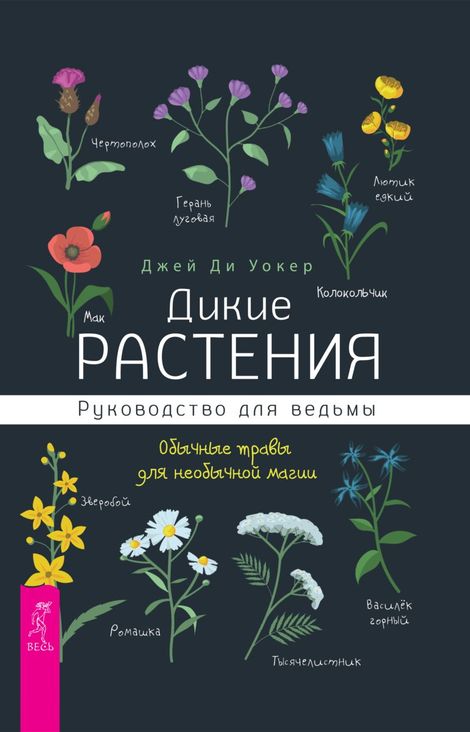 Книга «Дикие растения. Руководство для ведьмы. Обычные травы для необычной магии – Джей Ди Уокер»