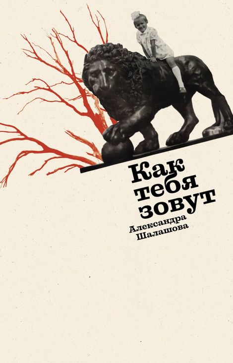 Книга «Как тебя зовут – Александра Шалашова»