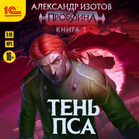 Аудиокнига «Пробоина. Книга 3. Тень пса – Александр Изотов»