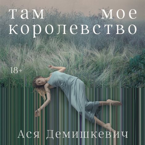 Аудиокнига «Там мое королевство – Ася Демишкевич»