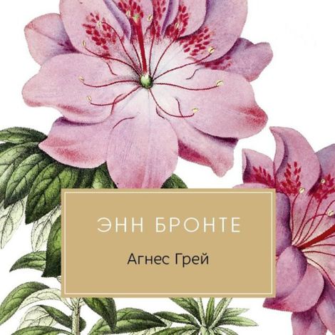 Аудиокнига «Агнес Грей – Энн Бронте»