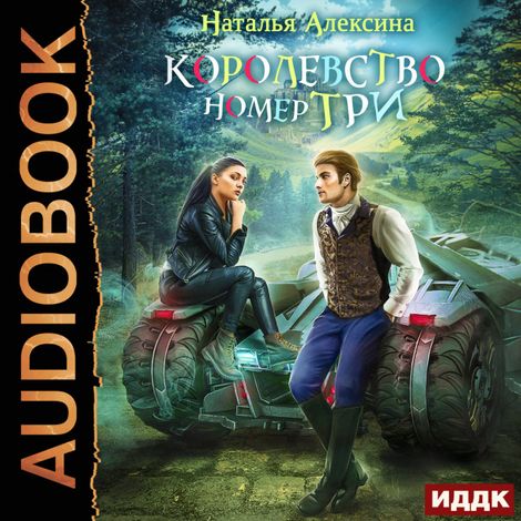 Аудиокнига «Новые королевства. Книга 1. Королевство номер три – Наталья Алексина»