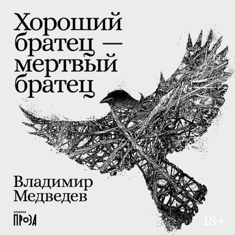 Аудиокнига «Хороший братец — мертвый братец – Владимир Медведев»
