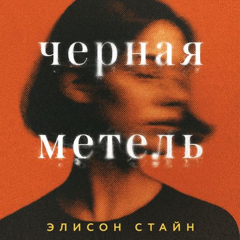 Аудиокнига «Черная метель – Элисон Стайн»