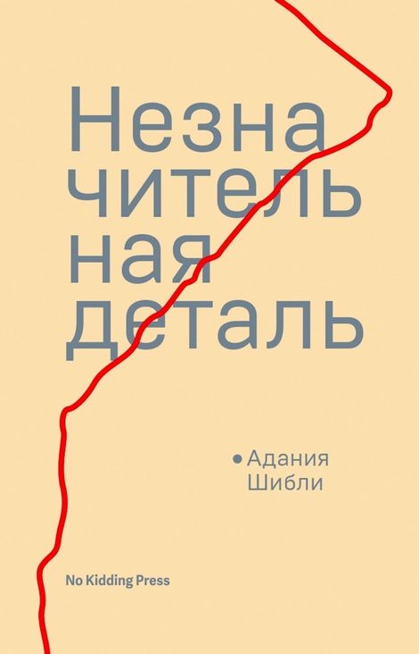 Книга «Незначительная деталь – Адания Шибли»