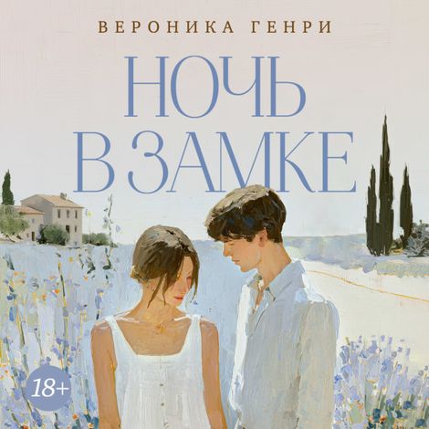 Аудиокнига «Ночь в замке – Вероника Генри»