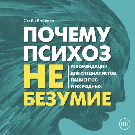 Аудиокнига «Почему психоз не безумие. Рекомендации для специалистов, пациентов и их родных – Стейн Ванхеле»
